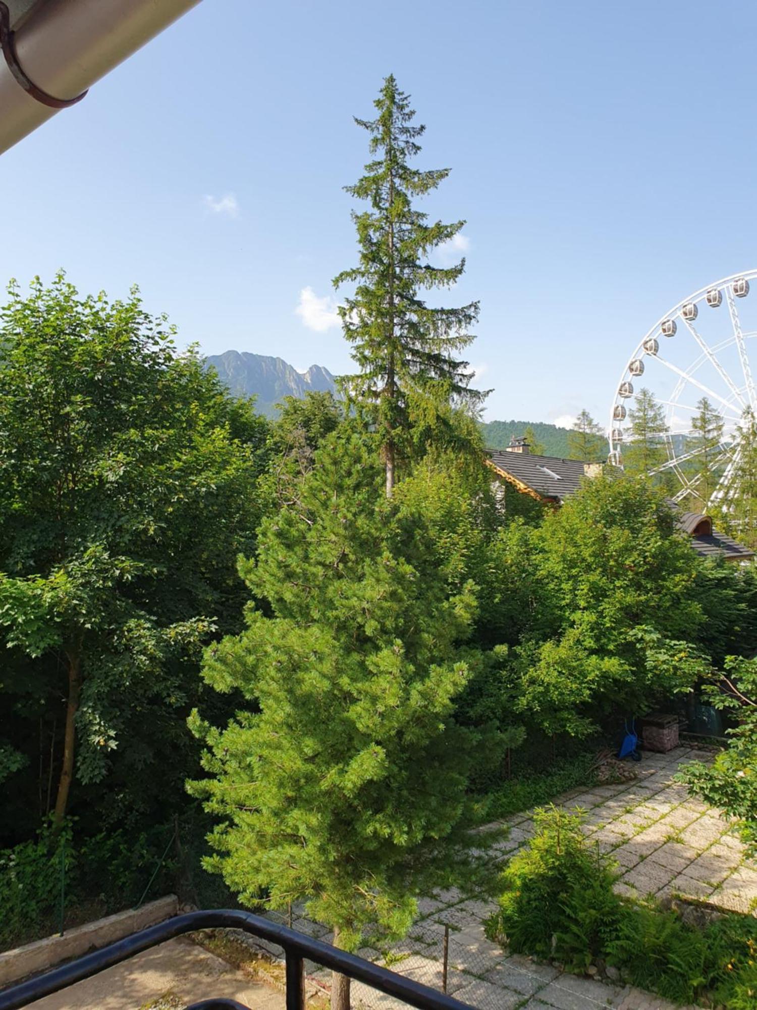 Asteria Lejlighed Zakopane Værelse billede